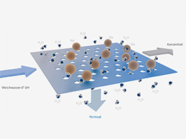 Osmosis simply explained