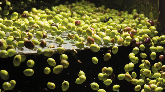 Image Conveyor technology Feed